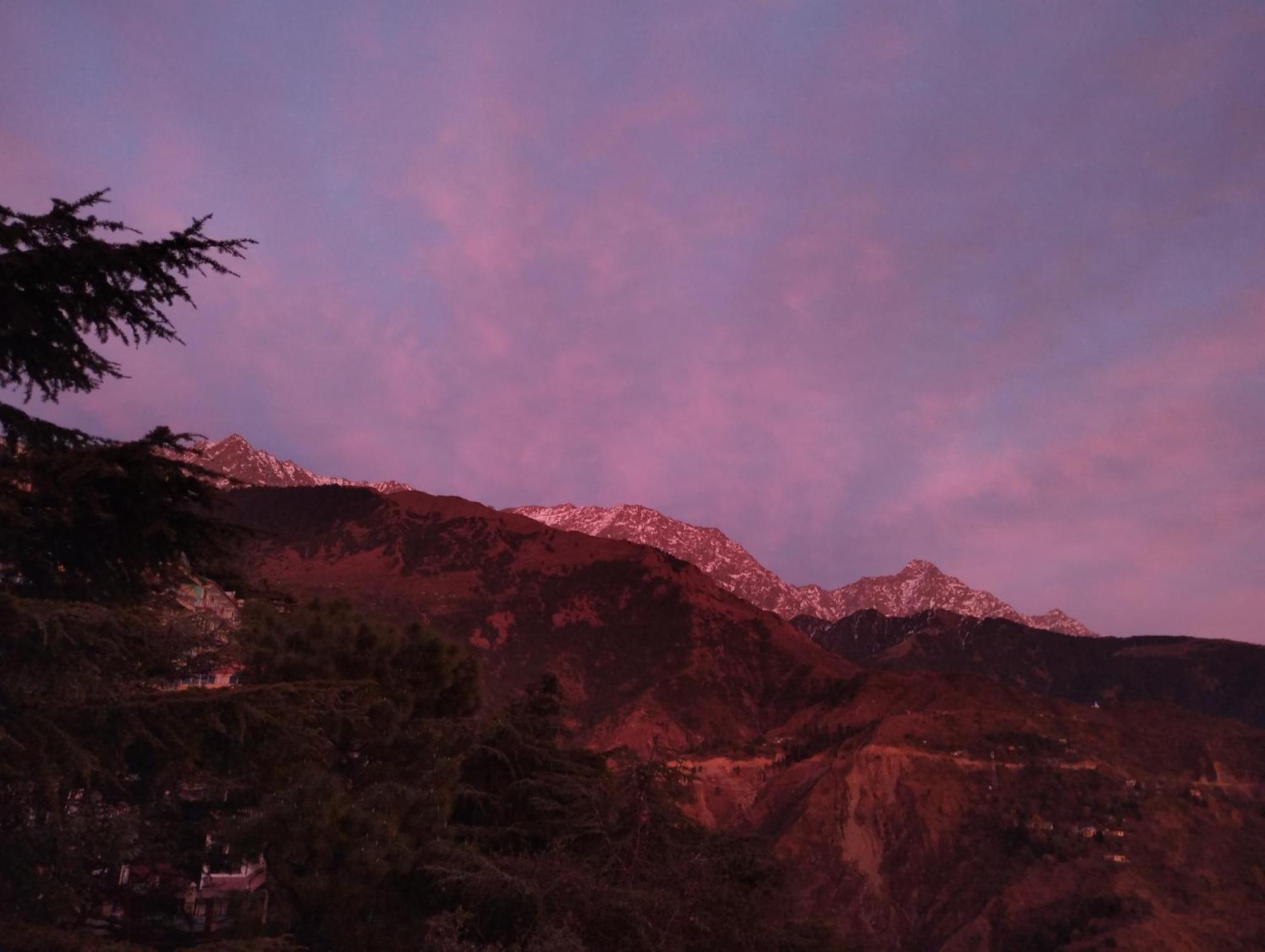 Verma Guest House Дармсала Экстерьер фото
